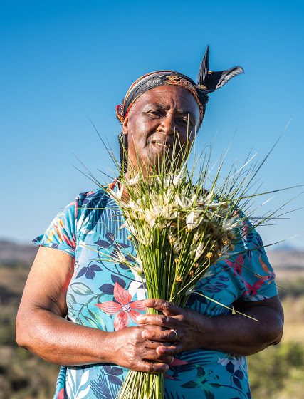  Coletores de flores: Patrimônio Agrícola Mundial