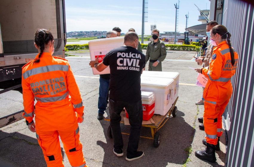  Governo de Minas envia vacinas contra covid-19 para cidades que estão na Onda Roxa