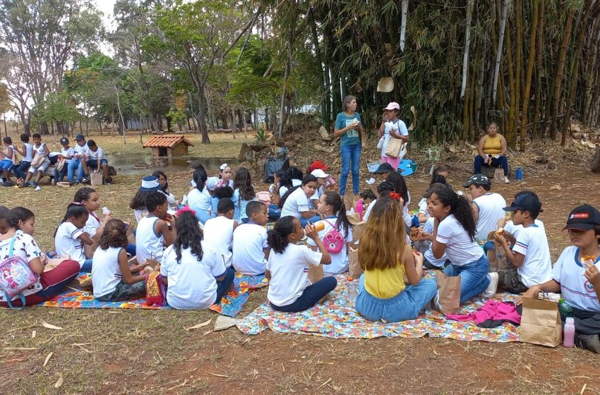  Projeto cultural, educativo e ecoliterário vai movimentar alunos de 24 escolas de Paracatu