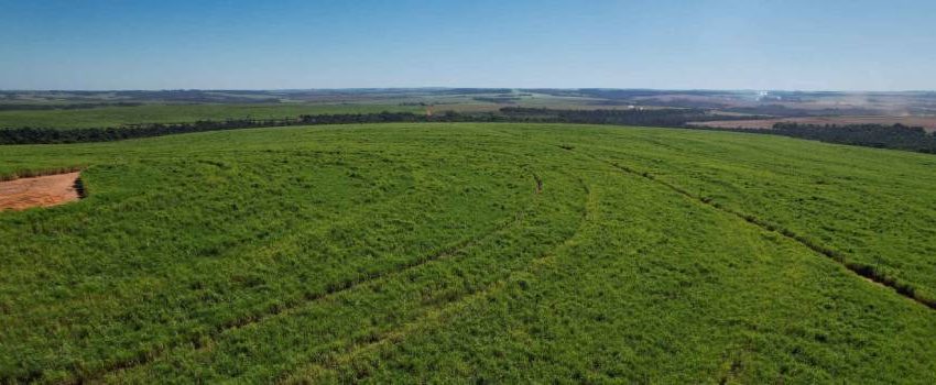  Valor Bruto da Produção do agro mineiro deve fechar o ano em R$ 124 bilhões