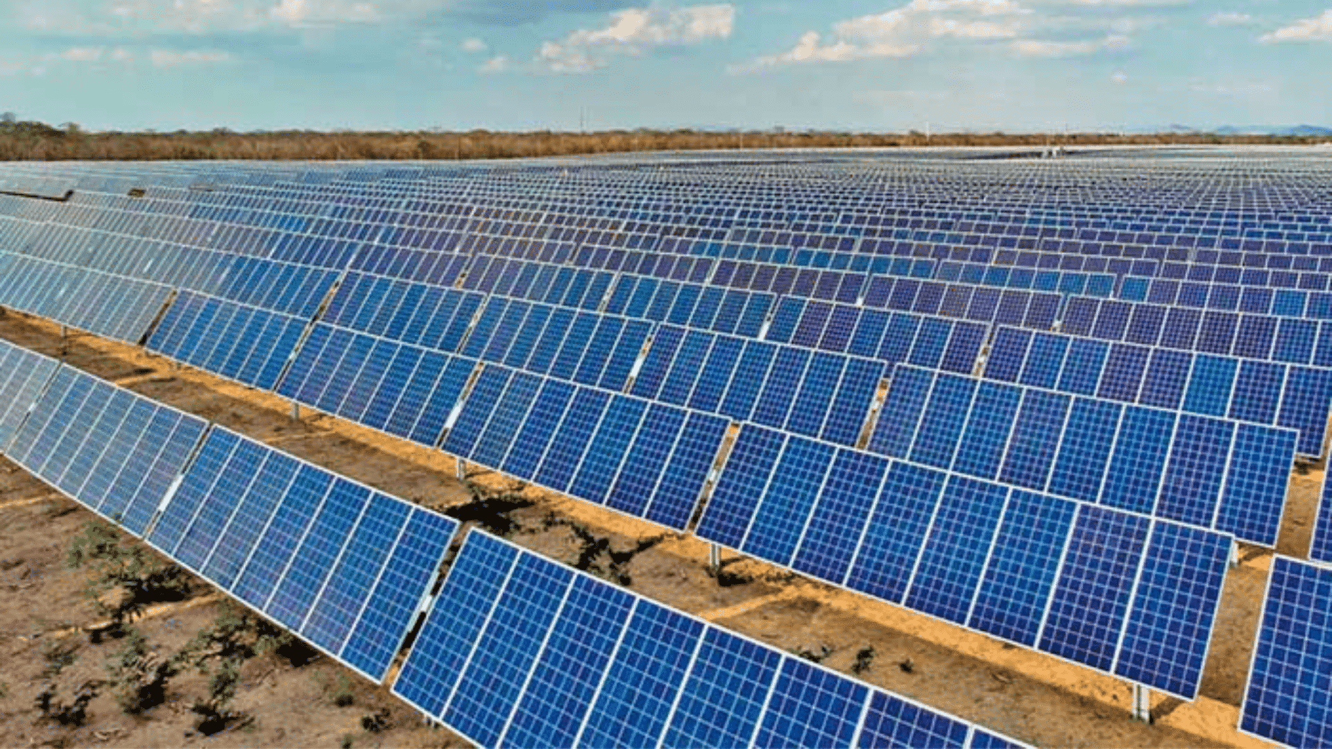  Com projeto inovador da Cemig, Epamig e CPQD, produtores rurais poderão cultivar embaixo de usinas solares 