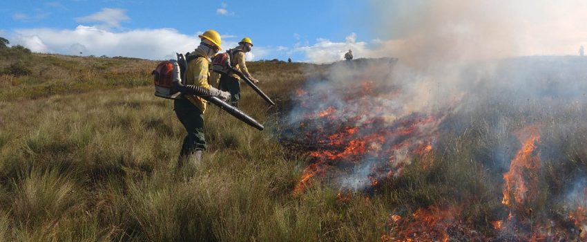  Onda de calor em Minas Gerais pode superar os 39°C e aumentar o risco de incêndios florestais no estado