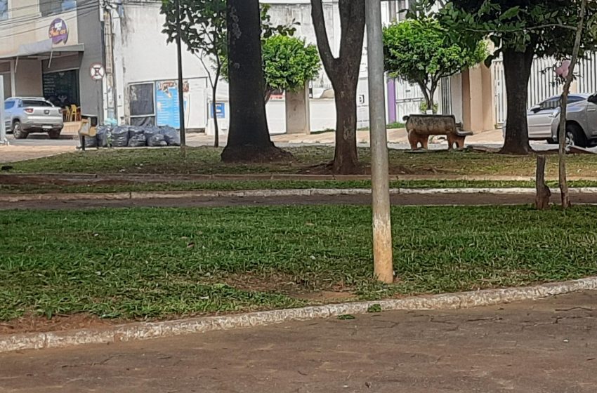  A missão Calebe conclui mutirão de limpeza na Praça do Fórum em Paracatu