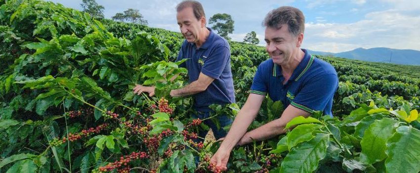  Exportações de café para a China crescem quase 4.000% em 10 anos