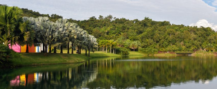  Vila Galé Brumadinho: novo hotel da rede em Minas Gerais será construído próximo ao Inhotim