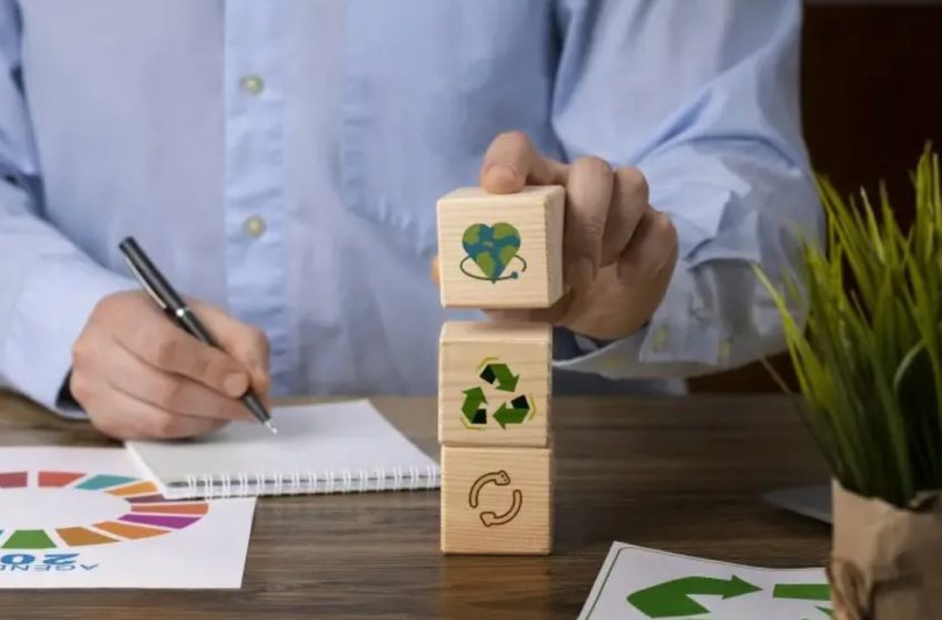 Práticas de ESG são parte do cotidiano dos pequenos negócios de Minas Gerais