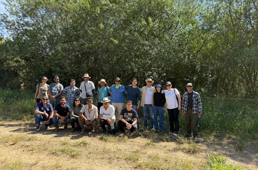 Experiências em recomposição de vegetação nativa do Cerrado são apresentadas a alunos da UnB