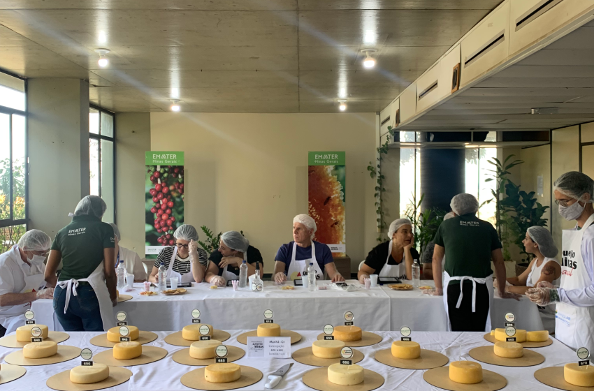 Começam as inscrições para a escolha dos melhores Queijos Artesanais de Minas Gerais em 2025