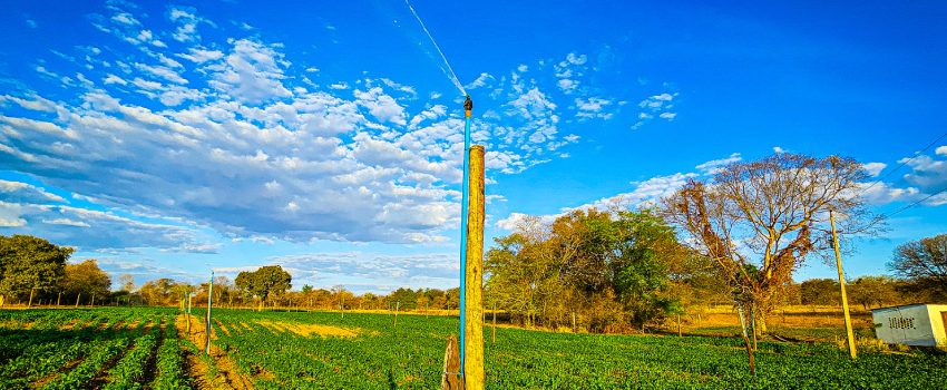 Nova Lei estimula produtores rurais de Minas Gerais a irrigar pela primeira vez