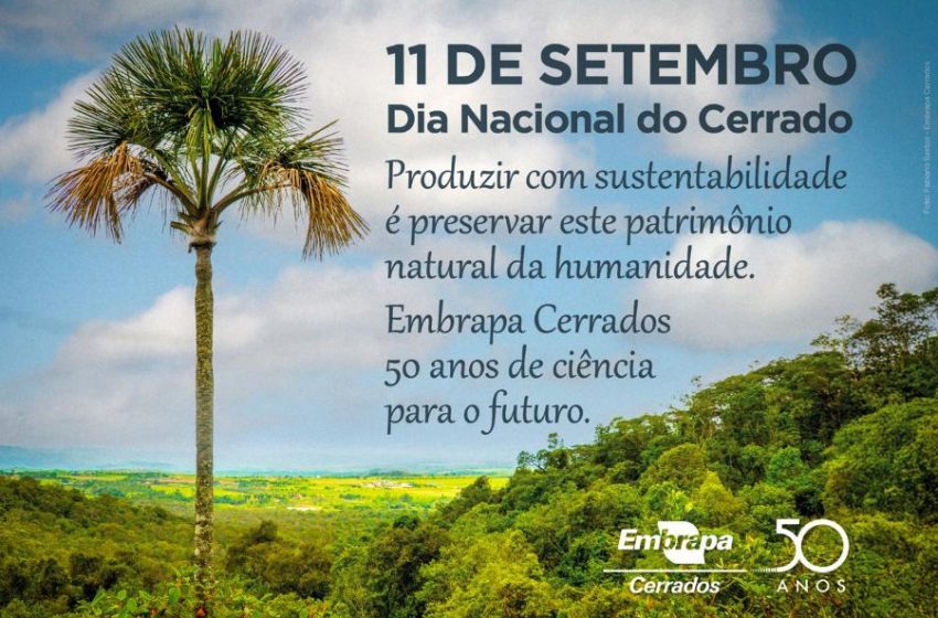  Artigo – Dia do Cerrado: os serviços ecossistêmicos e seus benefícios para a sociedade e a economia