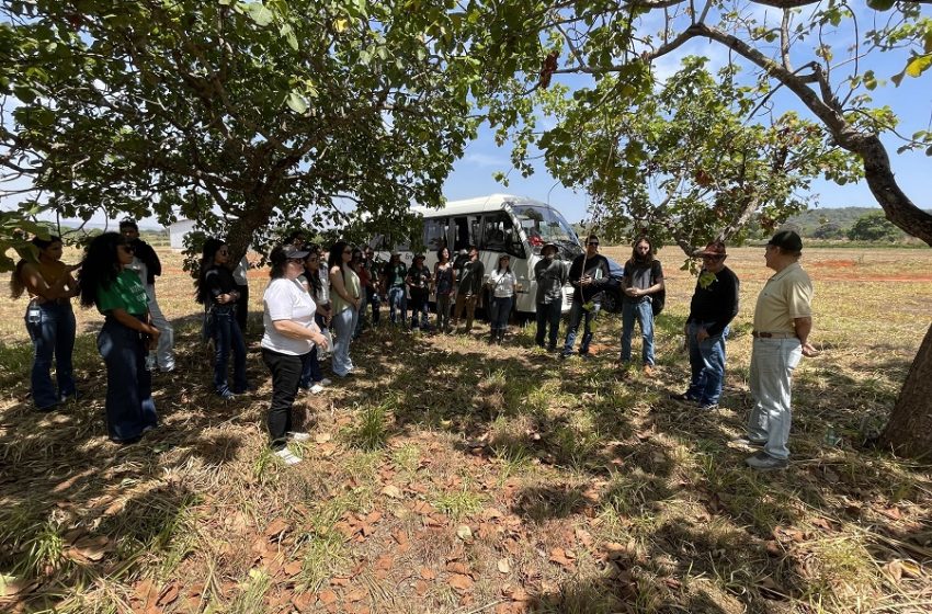  Oficina sobre Bancos Ativos de Germoplasma e melhoramento genético de frutíferas nativas do Cerrado é realizada na Embrapa Cerrados