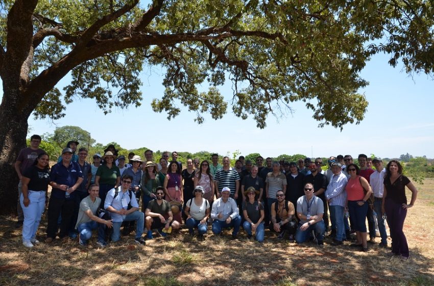 Auditores de Sustentabilidade do TCU conhecem pesquisas da Embrapa Cerrados