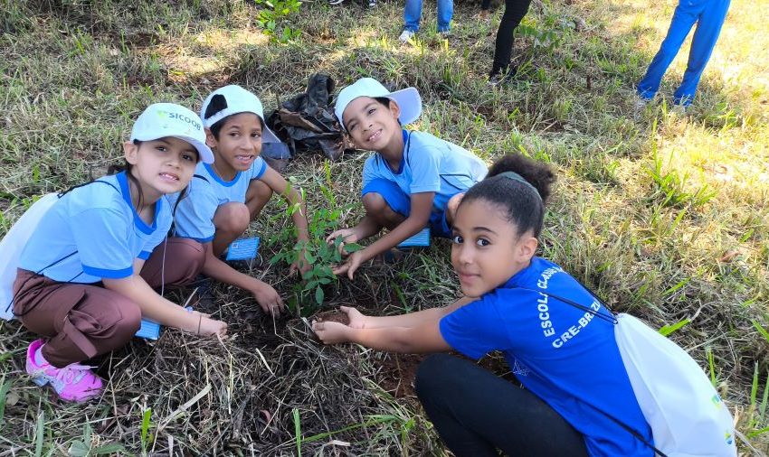  Produtor de Água Mirim leva estudantes ao campo para plantio de espécies nativas do Cerrado