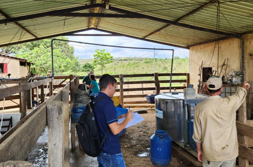  Novo ciclo do projeto Mais Leite Saudável busca impulsionar produção de leite no Noroeste de Minas Gerais