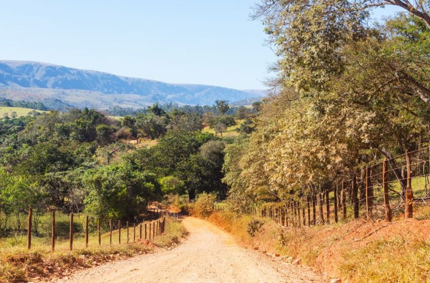  Fazendeiro deve recuperar área desmatada de Cerrado