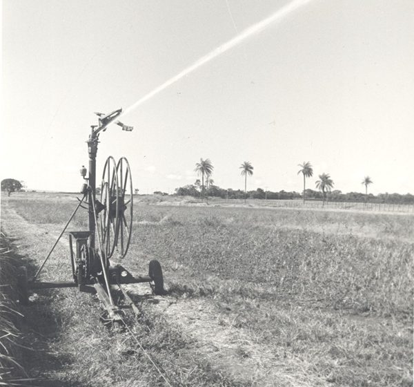  Artigo – A contribuição dos 50 anos de ciência para transformação da agricultura irrigada no Cerrado