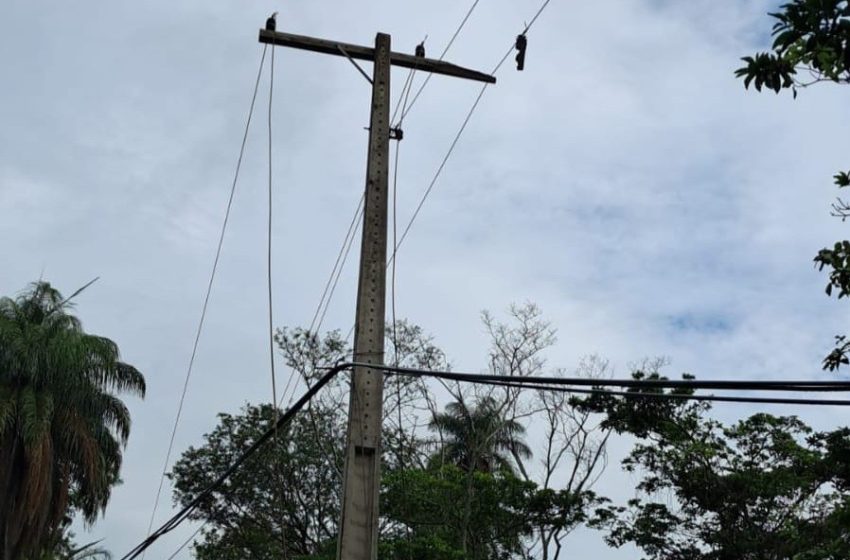  Cemig alerta para riscos e orienta como proceder em caso de quedas de árvores durante tempestades