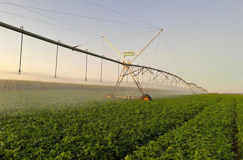  Irriganor, em parceria com o Sebrae Minas, apresenta resultados do reposicionamento estratégico da entidade