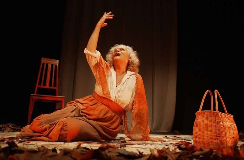  Araçuaí se consolida como a capital do teatro e reafirma o protagonismo cultural no Vale do Jequitinhonha