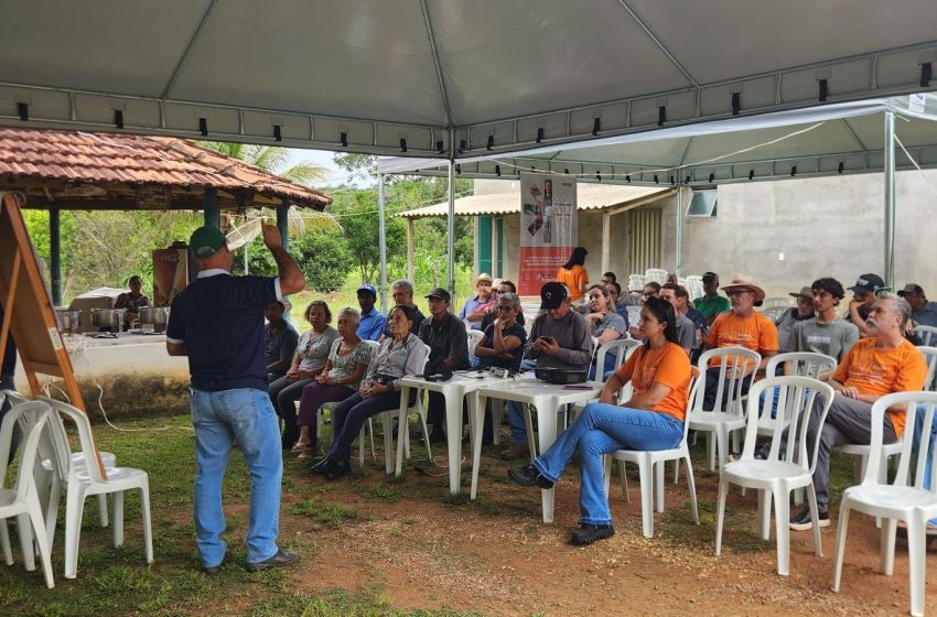  Dia de campo apresenta estratégias para aumentar a produtividade do milho para silagem e a tolerância aos veranicos no noroeste mineiro