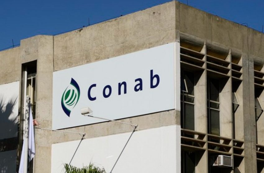  Conab integra programa federal para remunerar manejadores de pirarucu por serviços ambientais