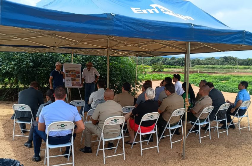  Embrapa Cerrados apresenta soluções inovadoras a grupo da Escola Superior de Guerra