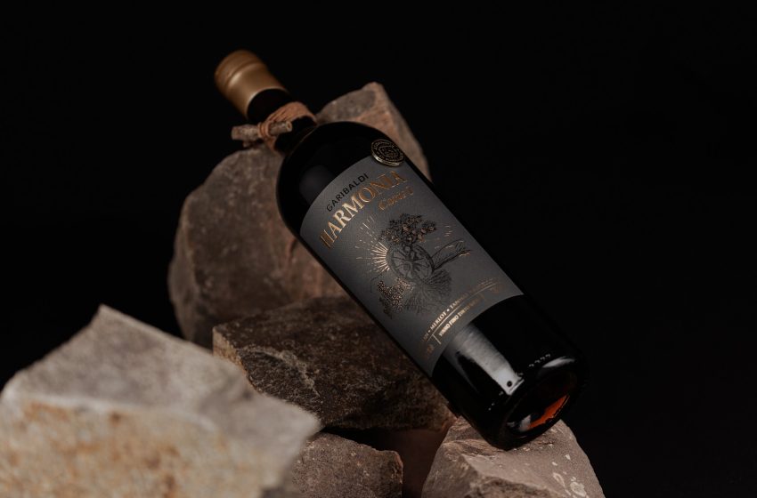  Minas Gerais impulsiona crescimento da Cooperativa Vinícola Garibaldi no Sudeste