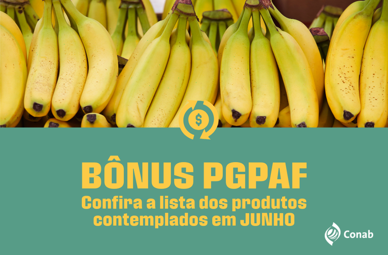 Conab informa relação de produtos contemplados pelo PGPAF em junho