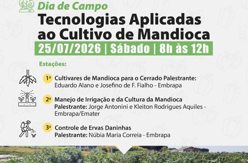  Tecnologias para mandioca serão apresentadas em Dia de Campo no DF neste sábado (25)