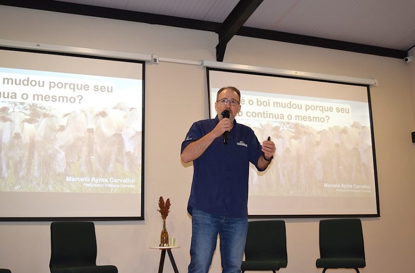  Forrageiras são a base da pecuária moderna no Brasil, comprova pesquisador da Embrapa Cerrados