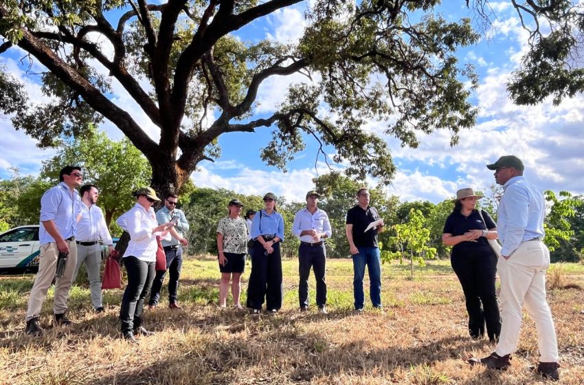  Representantes de 14 países conhecem a ciência que transforma a agricultura no Cerrado